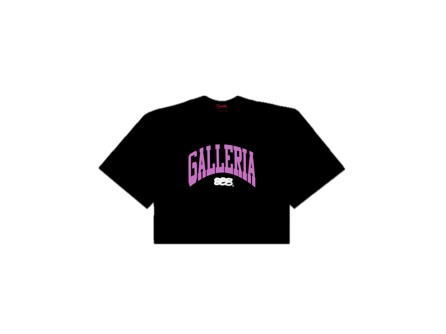 888Galleria Crop Top